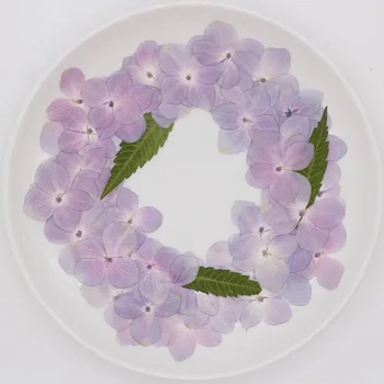 120pcs Uscate Natural Presat de culoare Roz-Violet Floare Hortensie Planta Ierbar Pentru Bijuterii Marcaj Telefon Caz Album DIY
