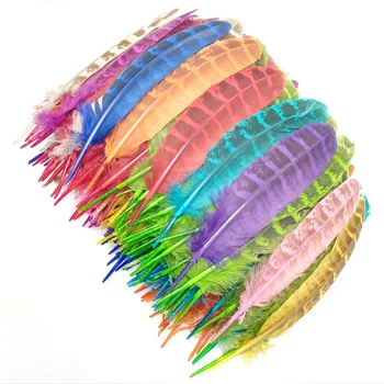 20buc/lot Colorate Pene de Pui Petrecerea de Nunta Rochie Decorativa DIY Fazan Plume Exotice pentru Artizanat Accessories10-15cM
