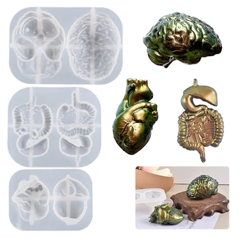 Inima omului Creier Rășină Mucegai DIY Halloween Ambarcațiuni de Organe Mucegai Silicon Ciocolata Fondant Mucegai Lumânare Decoratiuni Tort