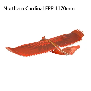 Noul Cardinal de Nord Spuma EPP Slow Flyer 1170mm anvergură a aripilor de Avioane RC Avion Model de Jucărie